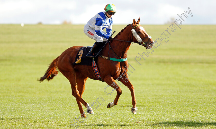 Redarna 
 REDARNA (Hollie Doyle)
Newmarket 30 Oct 2021 - Pic Steven Cargill / Racingfotos.com