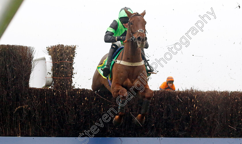 Kotmask-0001 
 KOTMASK (Caoilin Quinn)
Ascot 18 Jan 2025 - Pic Steven Cargill / Racingfotos.com