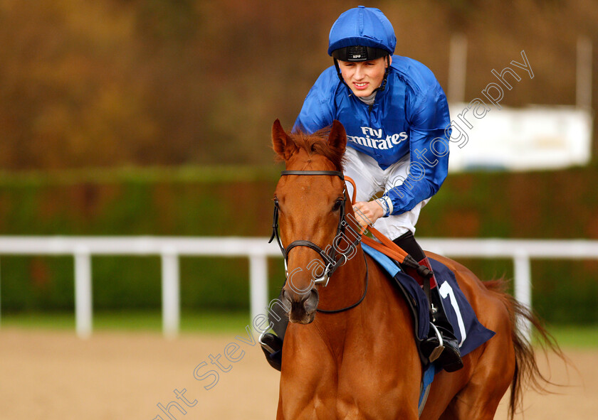 Ophelia s-Dream-0002 
 OPHELIA'S DREAM (George Wood)
Wolverhampton 28 Nov 2018 - Pic Steven Cargill / Racingfotos.com