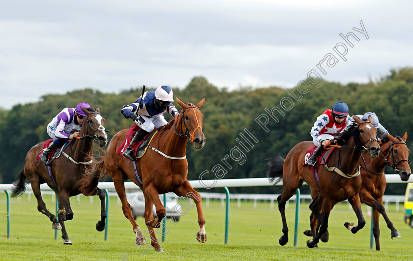 Salsada-0001 
 SALSADA (2nd left, Graham Lee) beats ALPINE MISTRAL (2nd right) in The Betfair EBF Reprocolor Fillies Handicap
Haydock 3 Sep 2020 - Pic Steven Cargill / Racingfotos.com