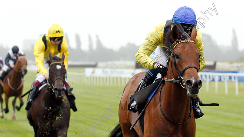 Mottrib-0005 
 MOTTRIB (David Egan) wins The Be Wiser Insurance Novice Stakes
Newbury 13 Jun 2019 - Pic Steven Cargill / Racingfotos.com