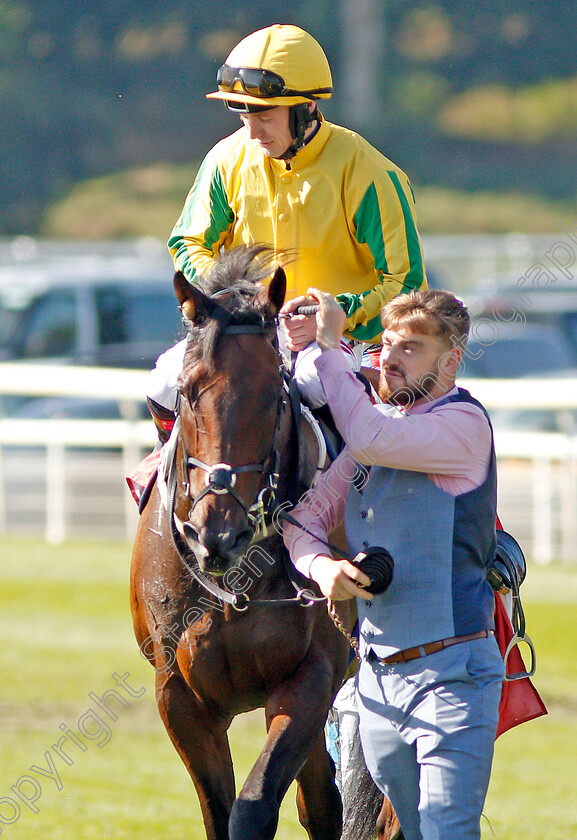 Mustajeer-0010 
 MUSTAJEER (Colin Keane) after The Sky Bet Ebor
York 24 Aug 2019 - Pic Steven Cargill / Racingfotos.com