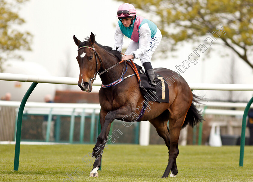 Stagehand-0002 
 STAGEHAND (Ryan Moore)
Newmarket 16 Apr 2019 - Pic Steven Cargill / Racingfotos.com