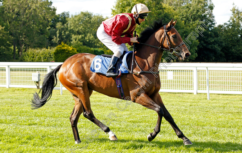 Mariance-0001 
 MARIANCE (Martin Dwyer)
Salisbury 11 Jul 2020 - Pic Steven Cargill / Racingfotos.com