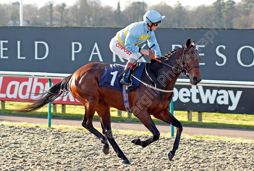 Cottonopolis-0002 
 COTTONOPOLIS (Franny Norton)
Lingfield 4 Jan 2020 - Pic Steven Cargill / Racingfotos.com