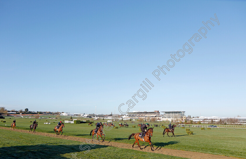 Cheltenham-0002 
 Gordon Elliott's string at exercise on the eve of the Cheltenham Festival
Cheltenham 14 Mar 2022 - Pic Steven Cargill / Racingfotos.com