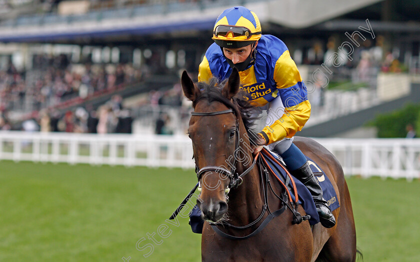 Wonderful-Tonight-0001 
 WONDERFUL TONIGHT (William Buick) winner of The Hardwicke Stakes
Royal Ascot 19 Jun 2021 - Pic Steven Cargill / Racingfotos.com