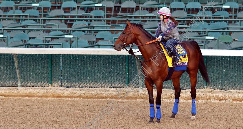 West-Coast-0002 
 WEST COAST exercising ahead of The Breeders' Cup Classic
Churchill Downs USA 31 Oct 2018 - Pic Steven Cargill / Racingfotos.com