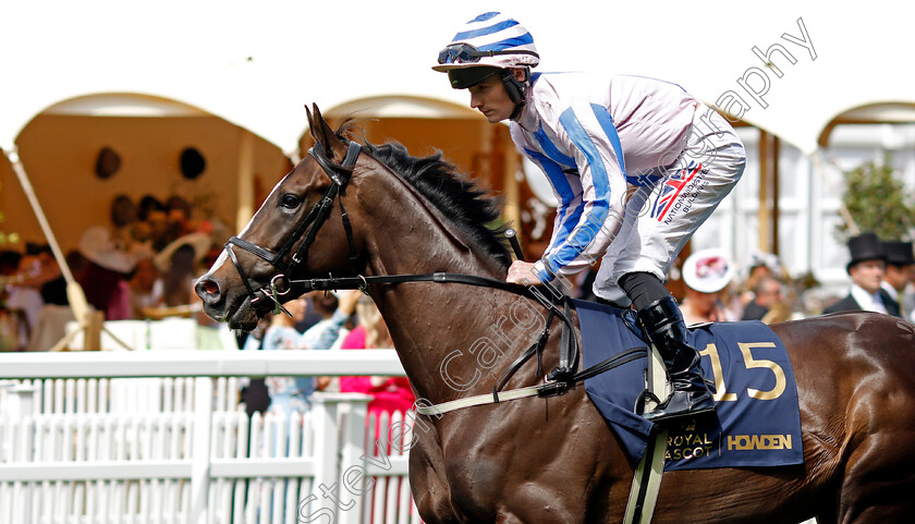 Go-Daddy-0001 
 GO DADDY (Lewis Edmunds)
Royal Ascot 20 Jun 2024 - Pic Steven Cargill / Racingfotos.com