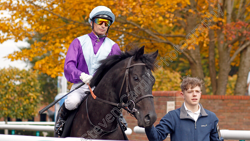 Tom-Collins-0001 
 TOM COLLINS (Gerald Mosse) before The Coates & Seely Blanc De Blancs Novice Stakes Div2
Newmarket 23 Oct 2019 - Pic Steven Cargill / Racingfotos.com