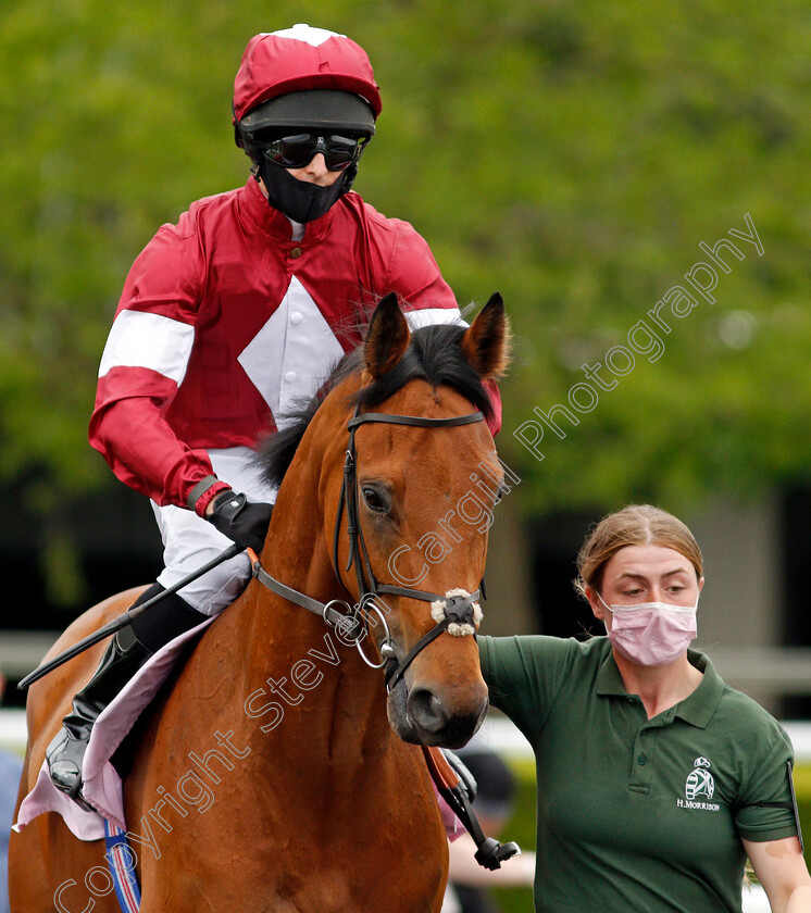 Aurora-Star-0001 
 AURORA STAR (Charlie Bennett)
Kempton 2 Jun 2021 - Pic Steven Cargill / Racingfotos.com