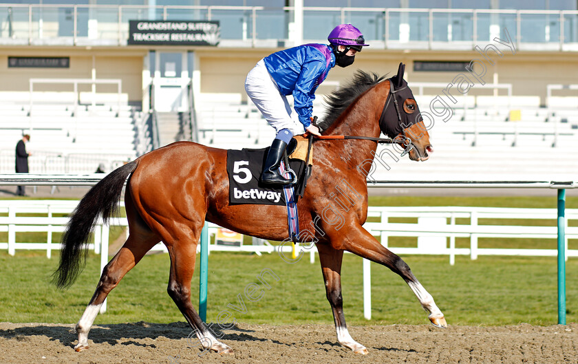 Palavecino-0002 
 PALAVECINO (Martin Dwyer)
Lingfield 2 Apr 2021 - Pic Steven Cargill / Racingfotos.com