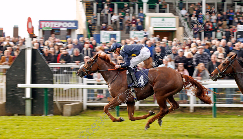 Dramatic-Queen-0005 
 DRAMATIC QUEEN (James Doyle) wins The Breeders Backing Racing EBF Fillies Novice Stakes Div1 Yarmouth 24 Oct 2017 - Pic Steven Cargill / Racingfotos.com