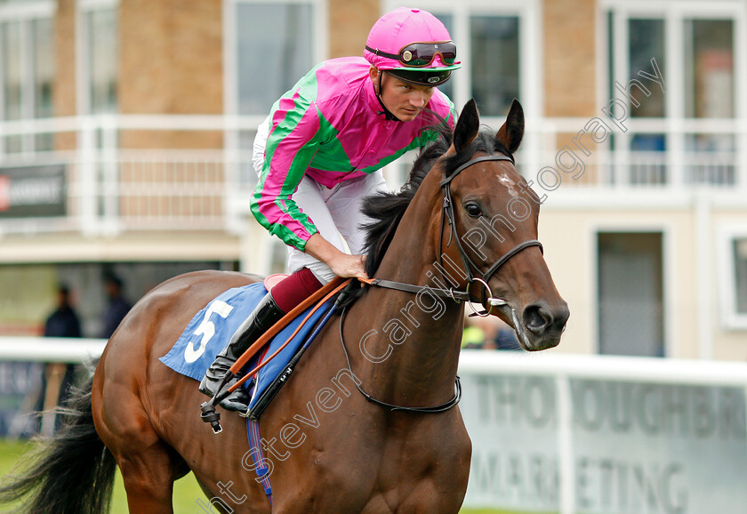 Good-American-0002 
 GOOD AMERICAN (Rob Hornby) winner of The Bob McCreery Memorial British EBF Quidhampton Maiden Fillies Stakes
Salisbury 2 Sep 2021 - Pic Steven Cargill / Racingfotos.com