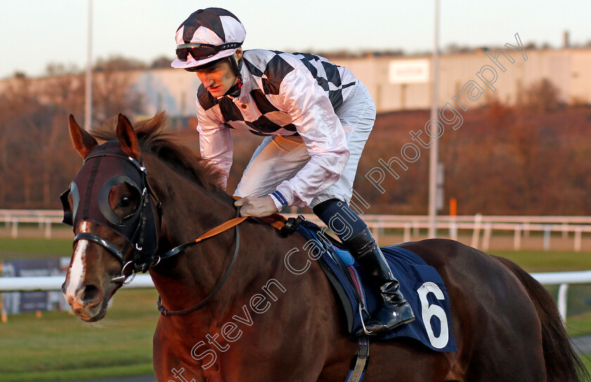 Buzztothemoon-0001 
 BUZZTOTHEMOON (Daniel Muscutt)
Wolverhampton 20 Jan 2020 - Pic Steven Cargill / Racingfotos.com