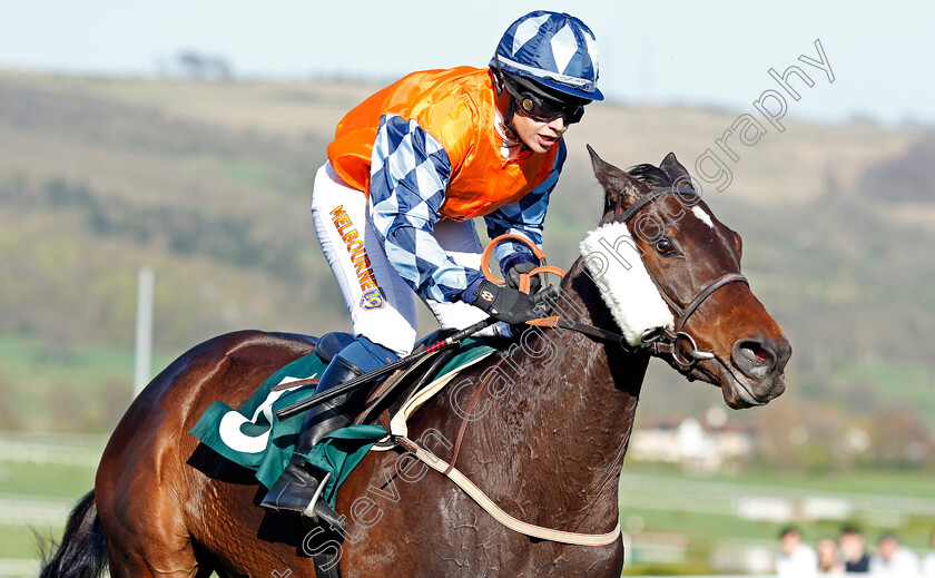 Hawthorn-Cottage-0006 
 HAWTHORN COTTAGE (Lucy Barry) wins The Spreadex Sports Betting Mares' Standard Open National Hunt Flat Race Cheltenham 19 Apr 2018 - Pic Steven Cargill / Racingfotos.com