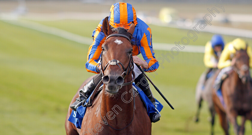 New-World-Tapestry-0001 
 NEW WORLD TAPESTRY (Ryan Moore) wins The Derrinstown Irish EBF Maiden Stakes
Newmarket 27 Sep 2019 - Pic Steven Cargill / Racingfotos.com