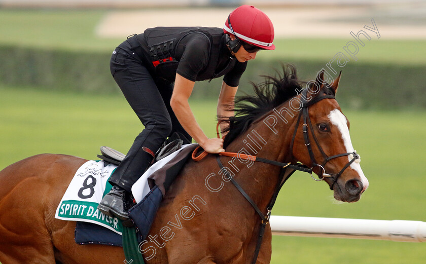 Spirit-Dancer-0002 
 SPIRIT DANCER training for The Sheema Classic
Meydan Dubai 26 Mar 2024 - Pic Steven Cargill / Racingfotos.com