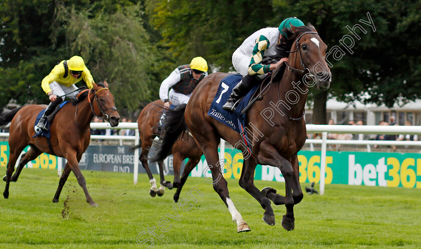 Porta-Fortuna-0005 
 PORTA FORTUNA (Ryan Moore) wins The Tattersalls Falmouth Stakes
Newmarket 12 Jul 2024 - pic Steven Cargill / Racingfotos.com