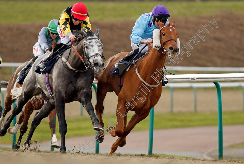 Locommotion-0007 
 LOCOMMOTION (left, Luke Morris) beats SOARING SPIRITS (right) in The Play Jackpot Games At sunbets.co.uk/vegas Handicap Lingfield 30 Dec 2017 - Pic Steven Cargill / Racingfotos.com