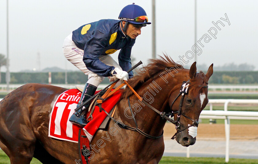 Above-N-Beyond-0001 
 ABOVE N BEYOND (Gerald Mosse) Meydan 10 Mar 2018 - Pic Steven Cargill / Racingfotos.com