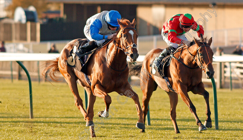 Felix-0003 
 FELIX (left, Ryan Moore) beats QUICK (right) in The Newmarket Challenge Whip
Newmarket 26 Sep 2019 - Pic Steven Cargill / Racingfotos.com