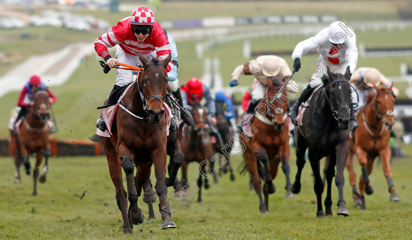 Veneer-Of-Charm-0002 
 VENEER OF CHARM (Jack Kennedy) wins The Boodles Fred Winter Juvenile Handicap Hurdle Cheltenham 14 Mar 2018 - Pic Steven Cargill / Racingfotos.com