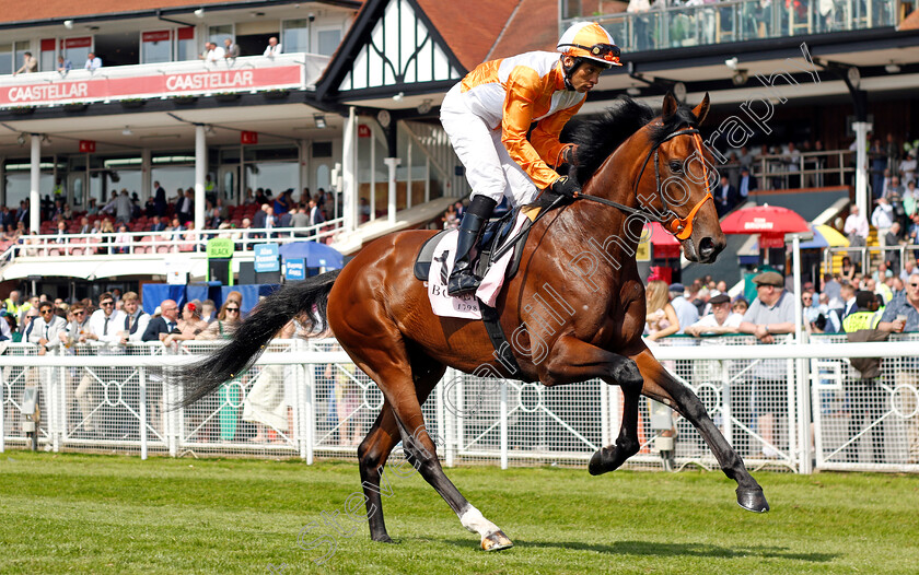 Jayarebe-0001 
 JAYAREBE (Sean Levey)
Chester 9 May 2024 - Pic Steven Cargill / Racingfotos.com