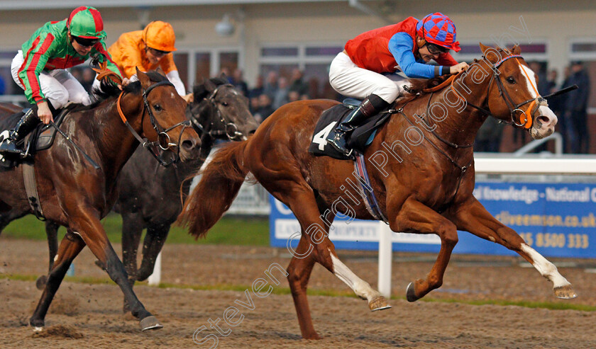 Animal-Instinct-0005 
 ANIMAL INSTINCT (Ryan Tate) wins The totepool Cashback Club At totesport.com EBF Novice Stakes
Chelmsford 24 Oct 2019 - Pic Steven Cargill / Racingfotos.com