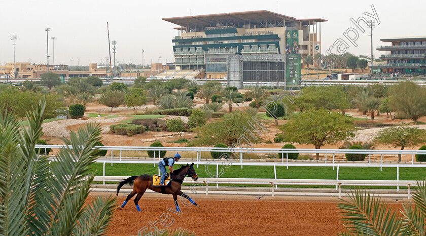 Jack-Darcy-0001 
 JACK DARCY training for The Neom Turf Cup
King Abdulaziz Racetrack, Saudi Arabia 22 Feb 2024 - Pic Steven Cargill / Racingfotos.com