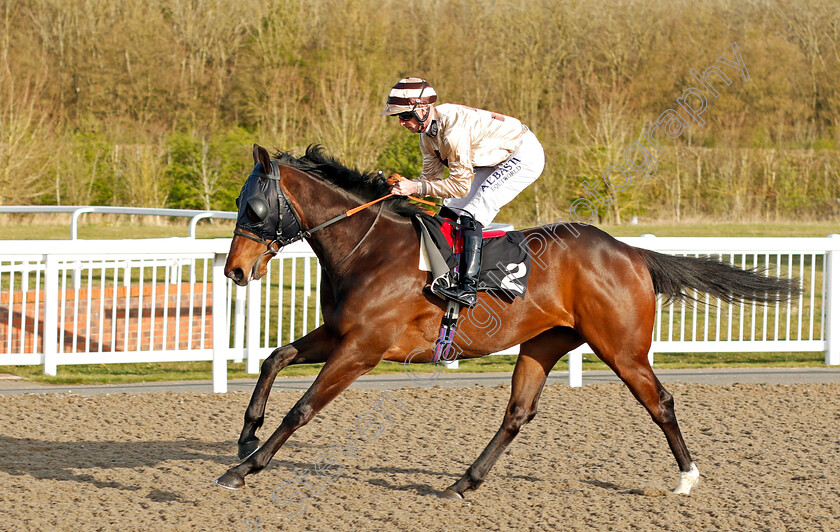 Jungle-Run-0001 
 JUNGLE RUN (Jack Mitchell) winner of The Ministry of Sound Disco Handicap
Chelmsford 31 Mar 2022 - Pic Steven Cargill / Racingfotos.com