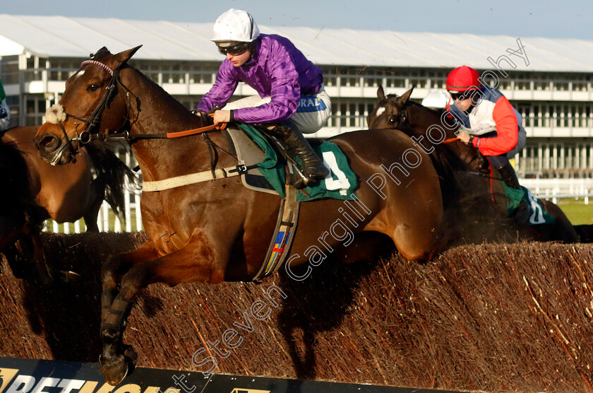 Fugitif-0002 
 FUGITIF (Sean Bowen)
Cheltenham 14 Dec 2024 - Pic Steven Cargill / Racingfotos.com