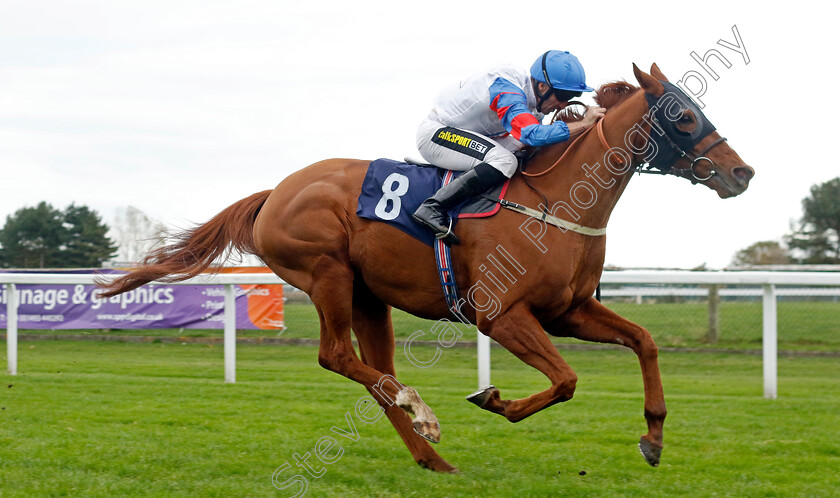 Oman-0002 
 OMAN (Neil Callan) wins The Xenor Logistics Local Global Personal Handicap
Yarmouth 22 Oct 2024 - Pic Steven Cargill / Racingfotos.com