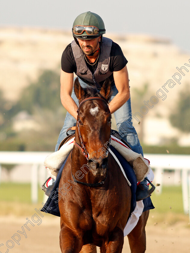 Magny-Cours-0003 
 MAGNY COURS exercising in preparation for Friday's Bahrain International Trophy
Sakhir Racecourse, Bahrain 16 Nov 2021 - Pic Steven Cargill / Racingfotos.com