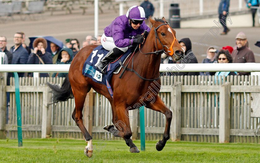 Symphony-Perfect-0003 
 SYMPHONY PERFECT (Hayley Turner) wins The Irish Stallion Farms EBF Bosra Sham Fillies Stakes
Newmarket 29 Oct 2021 - Pic Steven Cargill / Racingfotos.com