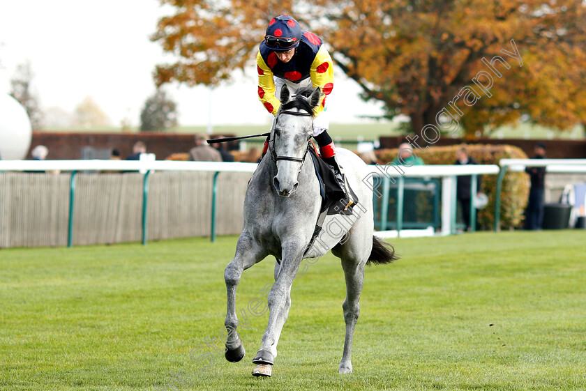 Pytilia-0001 
 PYTILIA (Shane Kelly)
Newmarket 24 Oct 2018 - Pic Steven Cargill / Racingfotos.com