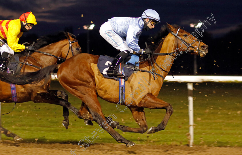 King-Of-Narnia-0002 
 KING OF NARNIA (Kieran Shoemark)
Wolverhampton 20 Dec 2024 - Pic Steven Cargill / Racingfotos.com