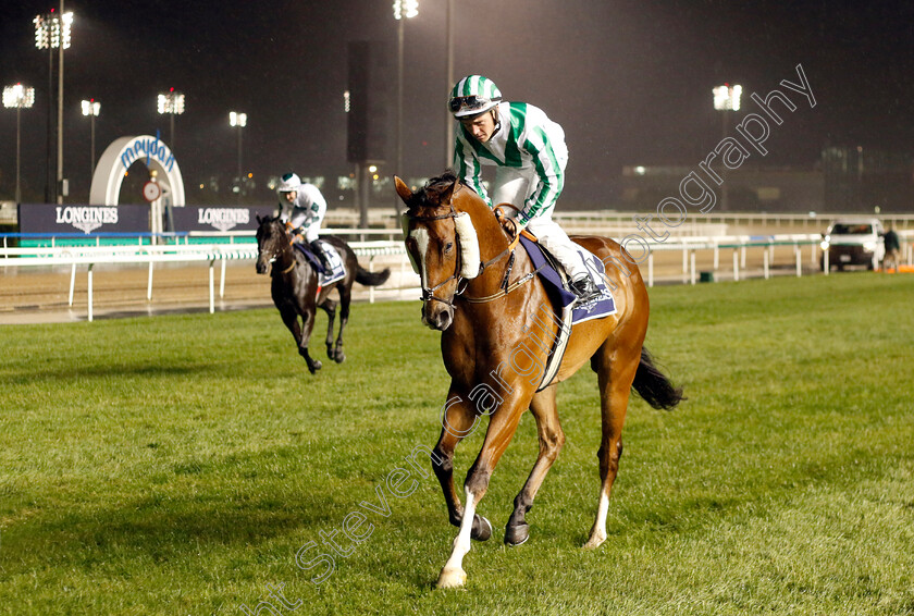 Thunder-Of-Niagara-0001 
 THUNDER OF NIAGARA (Ray Dawson)
Meydan 27 Jan 2023 - Pic Steven Cargill / Racingfotos.com