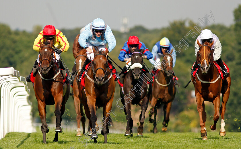 Here s-Two-0003 
 HERE'S TWO (2nd left, Kieran O'Neill) beats HELFIRE (left) and MISS OSIER (right) in The Happy 10th Birthday Amethyst Lettings Fillies Handicap Sandown 1 Sep 2017 - Pic Steven Cargill / Racingfotos.com