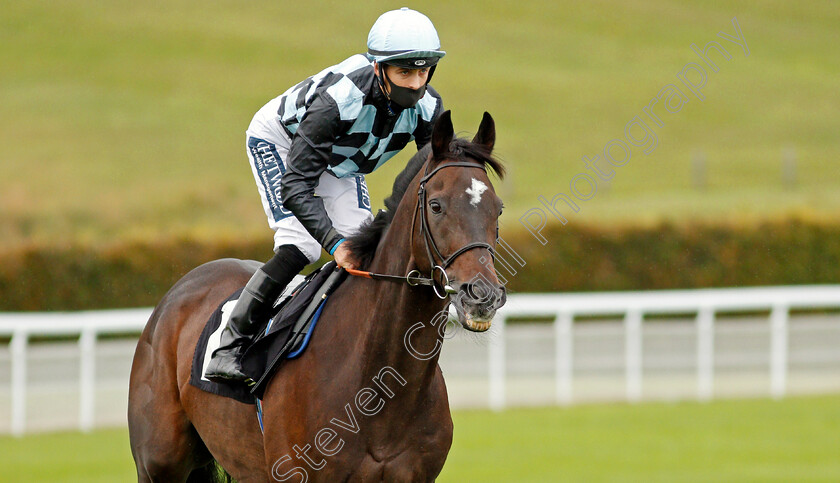 Air-Pilot-0001 
 AIR PILOT (Harry Bentley)
Goodwood 14 Oct 2020 - Pic Steven Cargill / Racingfotos.com