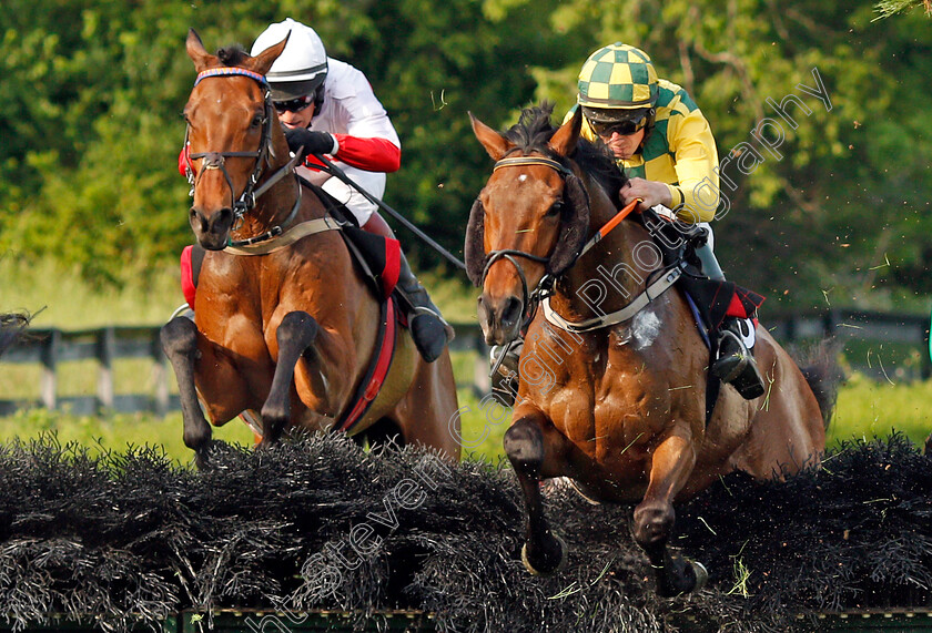 Zanjabeel-0003 
 ZANJABEEL (left, Ross Geraghty) beats MODEM (right) in The Calvin Houghland Iroquois Hurdle Grade 1, Percy Warner Park, Nashville 12 May 2018 - Pic Steven Cargill / Racingfotos.com