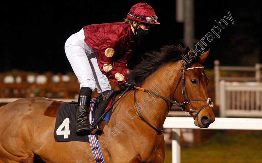 French-Minstrel-0001 
 FRENCH MINSTREL (Abigail Pierce)
Chelmsford 14 Jan 2021 - Pic Steven Cargill / Racingfotos.com