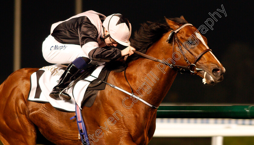 Hit-The-Bid-0006 
 HIT THE BID (Oisin Murphy) wins The Watch Time Handicap Meydan 8 Feb 2018 - Pic Steven Cargill / Racingfotos.com