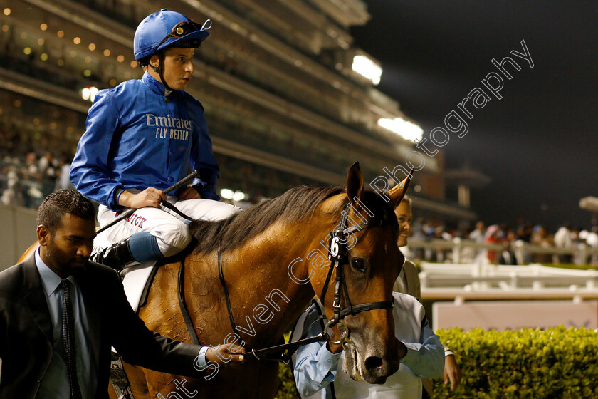 Poetic-Charm-0008 
 POETIC CHARM (William Buick) after The Balanchine Stakes
Meydan 14 Feb 2019 - Pic Steven Cargill / Racingfotos.com