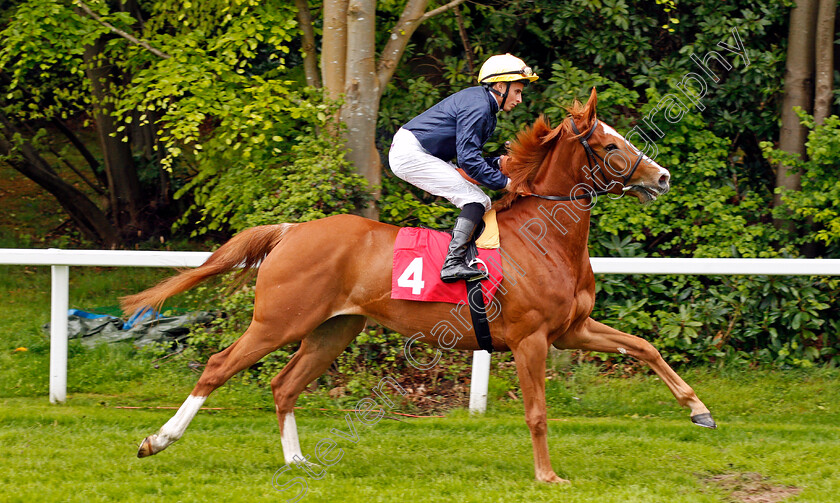 Crystal-Hope-0002 
 CRYSTAL HOPE (William Buick) winner of The Nordoff Robbins David Enthoven Memorial Fillies Novice Stakes Sandown 27 Apr 2018 - Pic Steven Cargill / Racingfotos.com