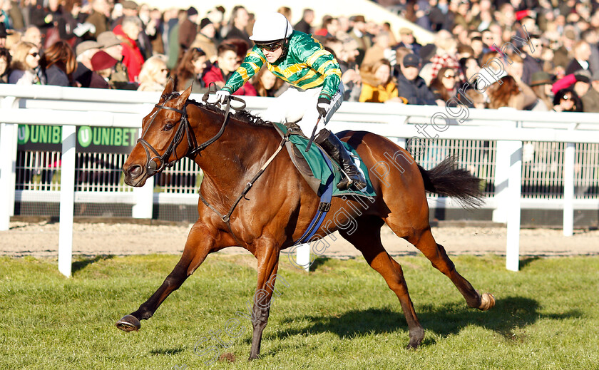 Palmers-Hill-0003 
 PALMERS HILL (Jonjo O'Neill Jr) wins The Steve And Sue Ibberson Retirement Conditional Jockeys Handicap Hurdle
Cheltenham 18 Nov 2018 - Pic Steven Cargill / Racingfotos.com