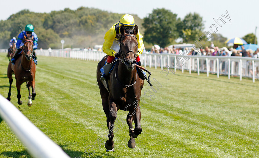 Faattik-0003 
 FAATTIK (David Egan) wins The Sorvio Insurance Brokers Novice Stakes
Salisbury 11 Aug 2022 - Pic Steven Cargill / Racingfotos.com