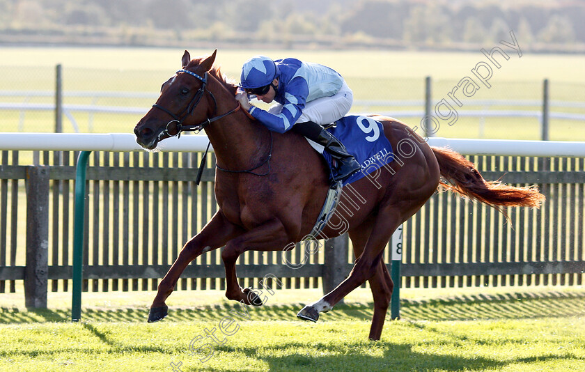 Skardu-0003 
 SKARDU (Martin Harley) wins The Derrinstown British EBF Maiden Stakes
Newmarket 28 Sep 2018 - Pic Steven Cargill / Racingfotos.com