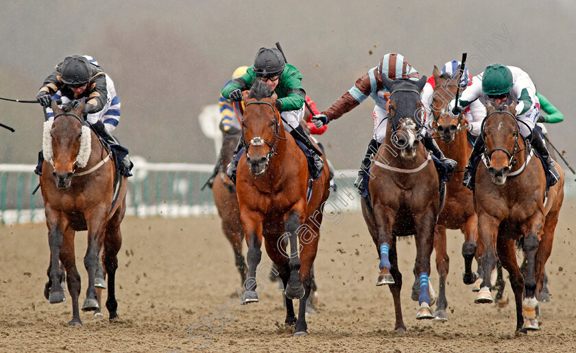 Kachy-0007 
 KACHY (centre, Richard Kingscote) beats KIMBERELLA (right) CASPIAN PRINCE (2nd right) and INTISAAB (left) in The Betway Cleves Stakes Lingfield 3 Feb 2018 - Pic Steven Cargill / Racingfotos.com