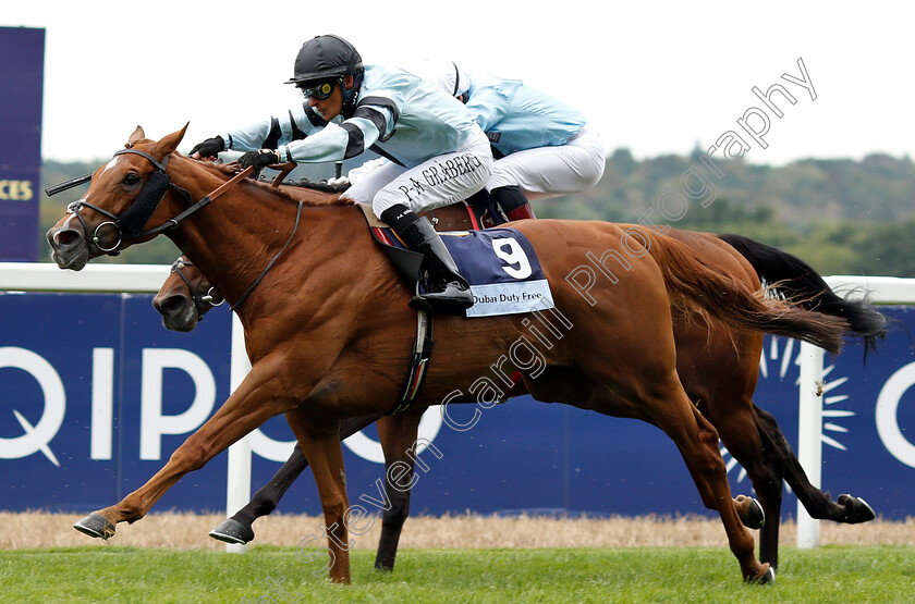 Cleonte-0002 
 CLEONTE (Per-Anders Graberg) wins The Dubai Duty Free Shergar Cup Stayers
Ascot 11 Aug 2018 - Pic Steven Cargill / Racingfotos.com